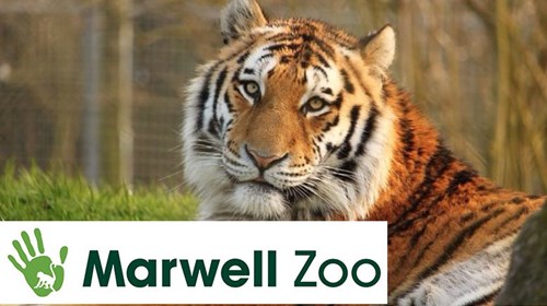 Marwell Zoo